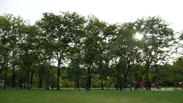 Cycling in bicycle lane in a public park of Bangkok