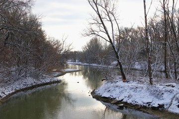 Donauaue im Winter bei Wien