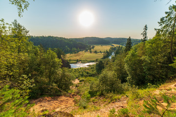 wavy river in forest in green summer