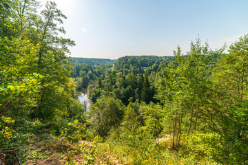 wavy river in forest in green summer