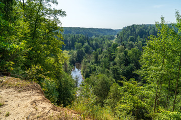 Fototapeta na wymiar wavy river in forest in green summer