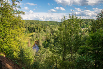 wavy river in forest in green summer