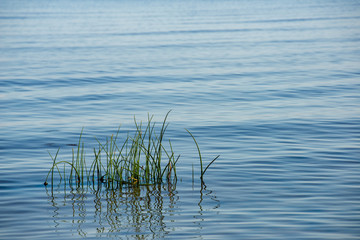 blue sky white clouds over calm body of water