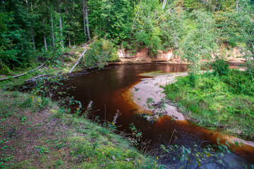 wavy river in forest in green summer