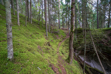 sandstone cliffs with tourist trail on river of gauja, Latvia