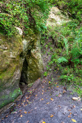 sandstone cliffs with tourist trail on river of gauja, Latvia