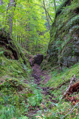 sandstone cliffs with tourist trail on river of gauja, Latvia