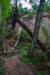 sandstone cliffs with tourist trail on river of gauja, Latvia