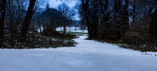 snow covered path