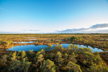 morning mist in the swamp area in sunrise