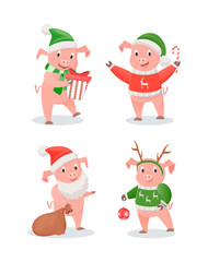 New Year 2019 Piglets in Hats and Sweaters Set