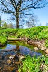 lakeside beach details with sand, rocks and blur background