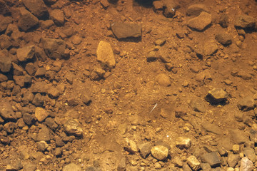 lakeside beach details with sand, rocks and blur background