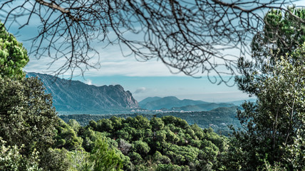 Montserrat mountain view between the near forest trees, Barcelona