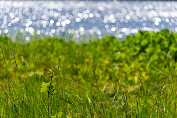 lakeside beach details with sand, rocks and blur background