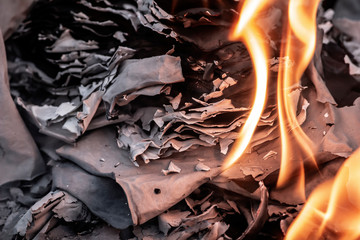 Ashes burn from hot fire close-up