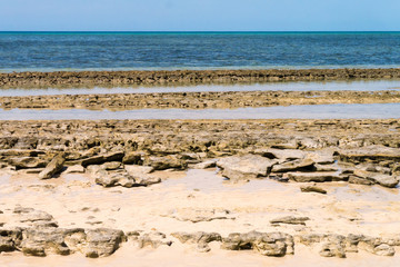 Shark Bay - Green Island - Great Barrier Reef - Australien