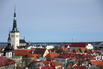 Obraz premium Panorama of Old town with Town hall and Toompea hill, , Tallinn, Estonia