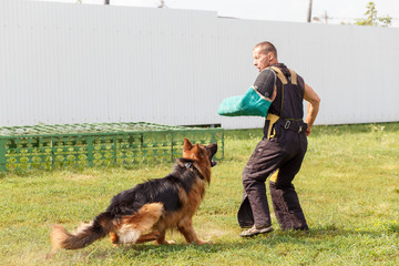 The instructor conducts the lesson with the German Shepherd dog