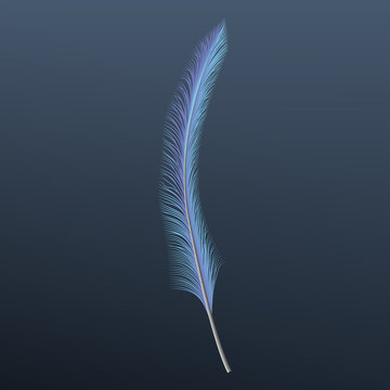 Blue feather icon. Realistic illustration of blue feather vector icon for web design