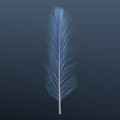 Light blue feather icon. Realistic illustration of light blue feather vector icon for web design