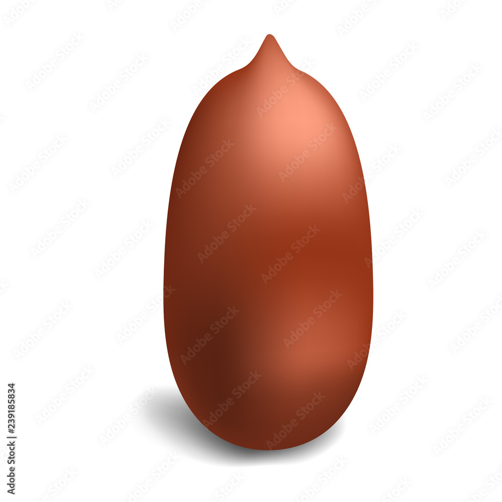 Poster peanut icon. realistic illustration of peanut vector icon for web design