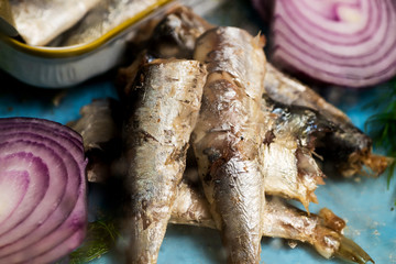 Sardines and onion circles.