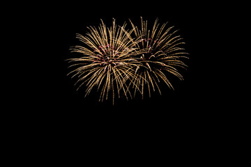 New Years Eve fireworks, such as two wonderful bouquets of flowers