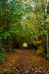 Coate Water Country