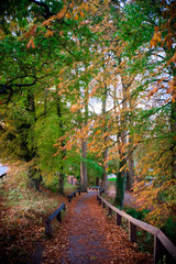 Coate Water Country