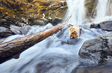 stones and tree branch under small cascading waterfall
