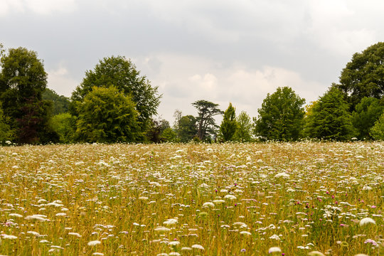 Highclere Castle