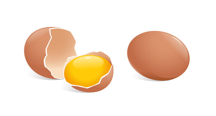 vector illustration of whole egg and broken egg with yolk - obrazy, fototapety, plakaty