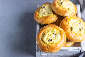 Fresh homemade open patties with cottage cheese and raisins. Traditional Russian yeast pastry vatrushka, round buns, curd tart. Buns with cottage cheese and raisins. Rustic style. Copy space.