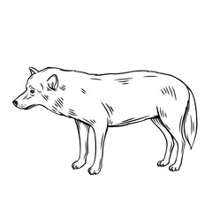 Outline wolf icon