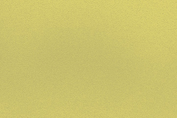 Fashionable color of spring-summer 2019 season: Lemon Verbena