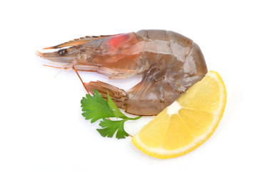 Shrimps on a white background