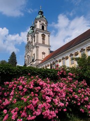 Blühende Rosen im Garten der Stiftskirche in       St. Florian