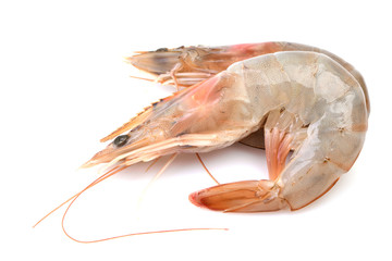 Shrimps on a white background