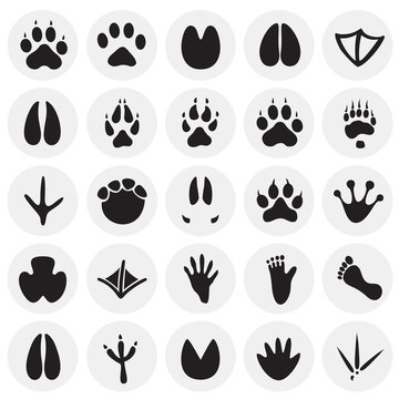 Animal foot prints icons set on circles background for graphic and web design, Modern simple vector sign. Internet concept. Trendy symbol for website design web button or mobile app