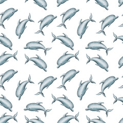 seamless pattern blue dolphins on a white background