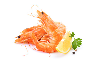 Shrimp on white background