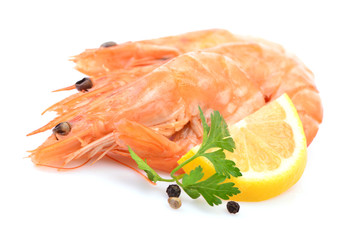 Shrimp on white background