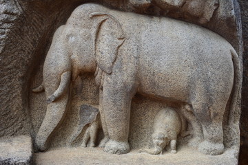 Fototapeta premium Chennai, Tamilnadu - India - September 09, 2018: Rock cut sculptures representing a gorup of elephants