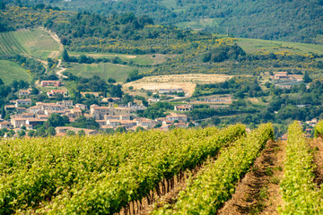 Vineyards in Limoux France