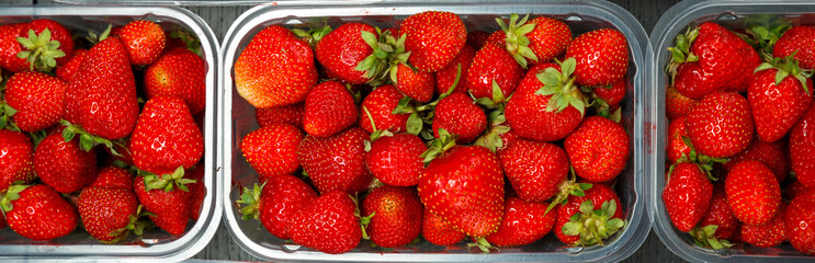 Close up of fresh red ripe strawberries in transparent plastic container boxes