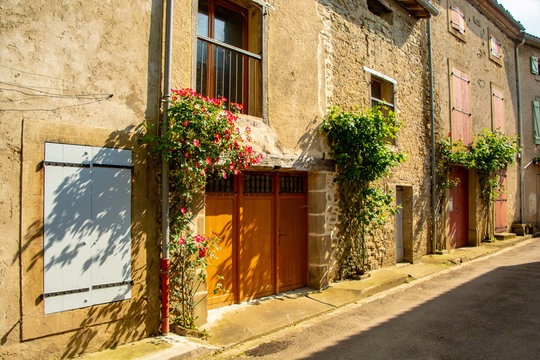 flowers in france