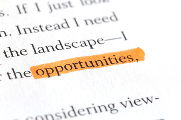 Highlighted English Word "Opportunities" in a Book