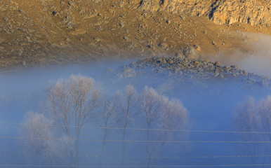Frost-covered bare trees high in the mountains