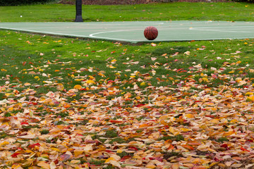 Fall Basketball 